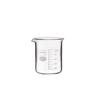 Shibata Scientific with Beaker, 100mL, Graduations, 010020-10051A
