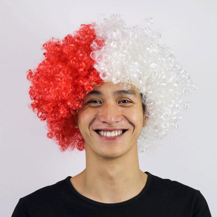 World Cup Party Wig – Colorful National Flag Hairpiece for Football Fans, Carnival & Festivals (Reusable, Hypoallergenic)