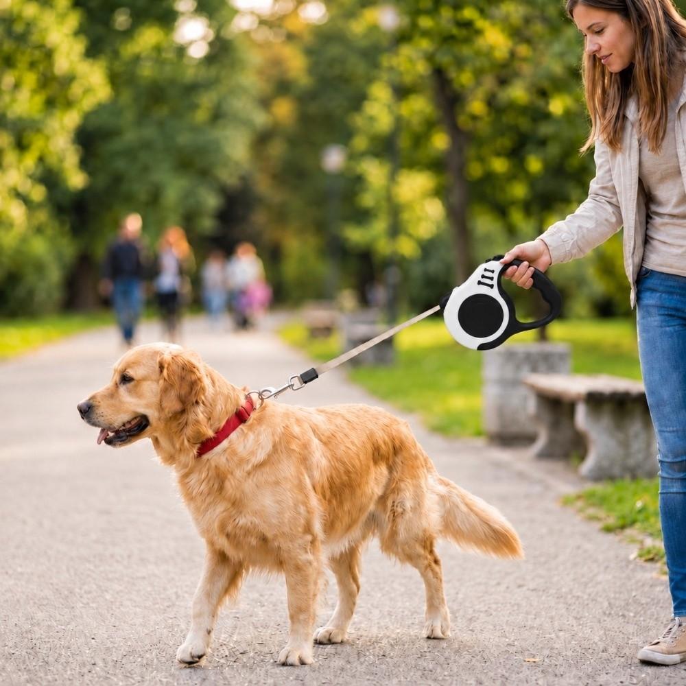 5M ABS Shell Pet Walking Leash Multi Colors Dog Chain Lightweight Cat Leash Park Walk