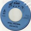 7-дюймовая пластинка JUNIA WALKER Still Waters JI075 Jusic Internati 2011 UK Регги Ска Даб Б/у
