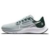 Кроссовки унисекс Air Zoom Pegasus 38 Michigan State Silver Silver-Wing Pro-Green DJ0833-001