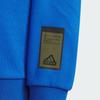 Adidas Kids Sweatshirts Crew Neck Moderate IQ0994