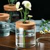 Glass Transparent Glass Pots Thickened Ecological Glass Vase Hydroponic Plants Flower Pot  Home