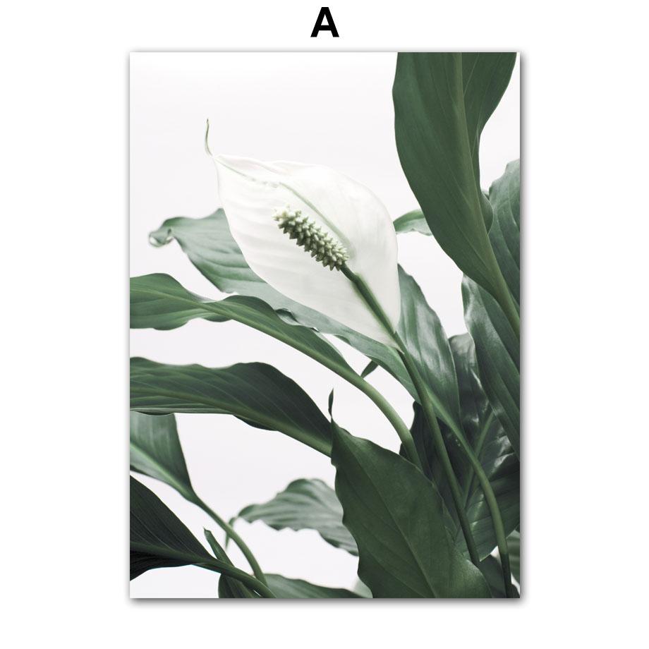 Тропические растения, пальмовые листья, белый цветок, настенная живопись на холсте, плакаты на скандинавскую тему и принты, настенные панно для декора гостиной