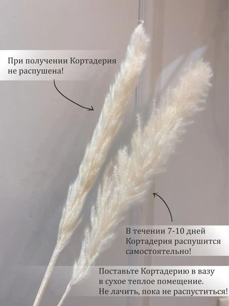 Солома Сухоцвет Домашнее DIY Украшение