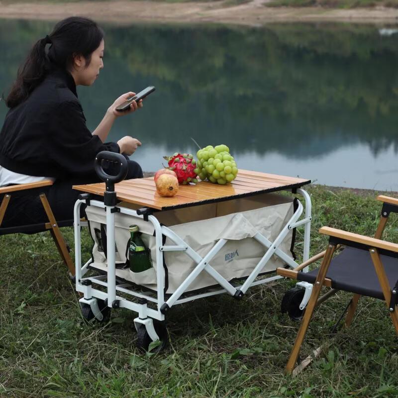 ZISIZ Compact Outdoor Camping Cart with Tabletop