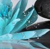 Шторка для душа Zen Spa Серая Бамбук Камень с Бирюзовой Водяной Лилией в Воде Шторка для Душа в Ванную Бирюзово-Серая Шторка для Ванной