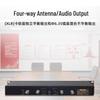 Weishu DC-13-2S Professional Wireless Conference Microphone System (CN version)