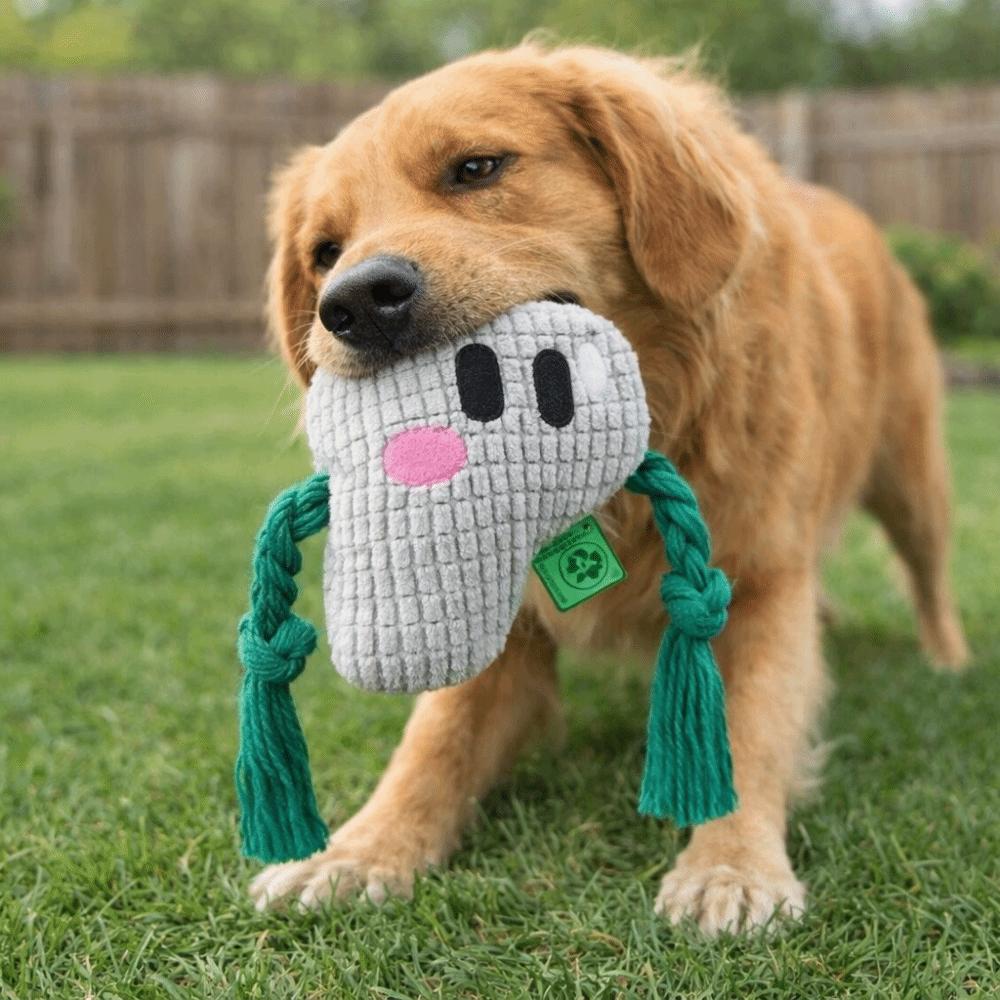 Alphabet Sounds Dog Chew Toy Chew Resistant Pineapple Fleece Dog Rope Knot Toy Bite Resistant Two-Tone Color Blocking