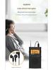 Panda6107 Portable FM Radio for Gaokao and CET-4/6 Exam Preparation