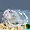 1pcs Hamster Transparent Bathroom Small Pet Sand Bath Cage Large Capacity Prevent Splash Bathing Shower Room Accessories