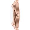 Emporio Armani Watch Ladies Analog Stainless Steel AR11762
