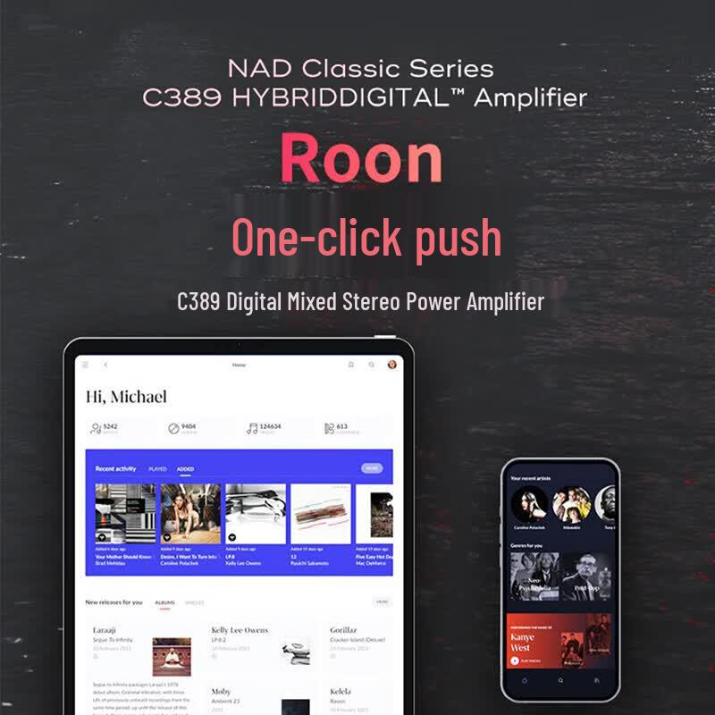 NAD C389 Amplifier with ELAC 283.2 Hi-Fi Speaker Set (CN version)