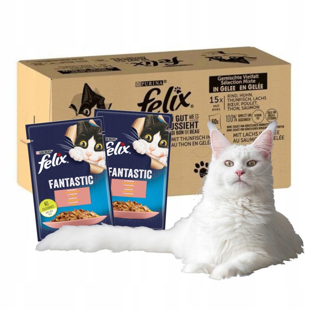 Felix Fantastic Fish Food 120X85G