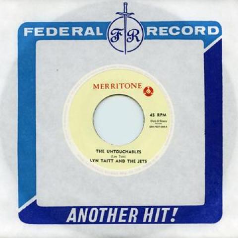 7-дюймовая пластинка LYNN TAITT JETS Untouchables Pepper Pot DSRFED7044 MerritoneDub S 2015 Япония Регги Ска Даб
