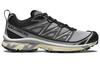 Salomon XT-6 Expanse 'Alloy Quiet Shade'