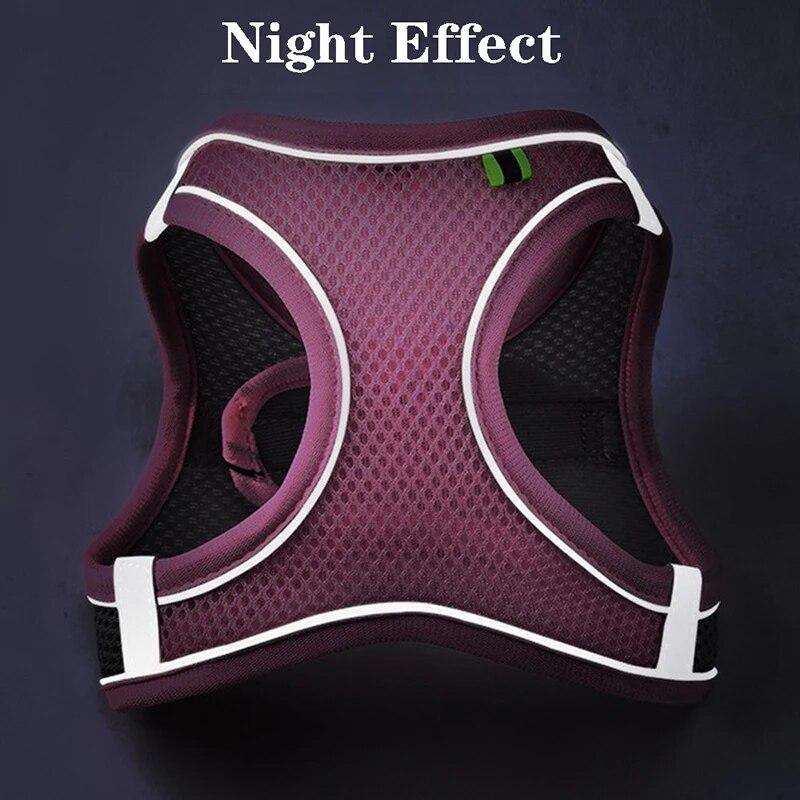 Шлейка для щенка, жилет из дышащей сетки, комплект шлейки и поводка для собак для маленьких собак, французский бульдог, кошка, прогулочный поводок, товары для домашних животных