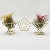 3Pcs Decorative Geometric Fern Plant Stand Metal Widely Use Air Plant Stand Holder Bar Decor