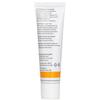 DR. HAUSCHKA Hydrating Cream Mask