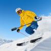 Ski pole mount