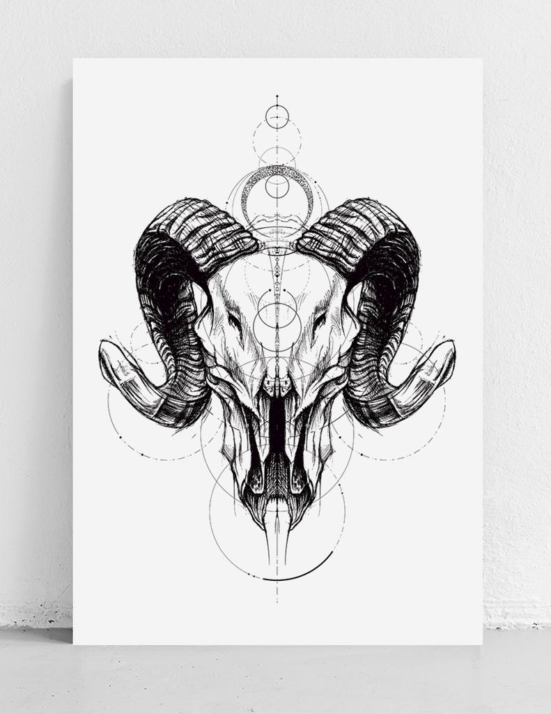 Poster Sketch Skull Geometry