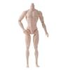 White/Normal/Tan 1/6 Male Doll Strong Man Action Figure Body For Children Male Model  DIY Toy