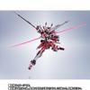METAL ROBOT Spirits SIDE MS Infinite Justice Gundam 20th Anniversary Ver.