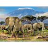 DIY Elephant 5D Diamond Painting Full Round Drill Animal  Embroidery Cross Stitch Kits Mosaic Home Decor Wall Art