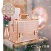 Hapilife Макияж Большой Профессиональный Косметический Макияж Косметическое Хранение Золотая Коробка, Вместимость, Класс, Коробка, Контейнер, Коробка, (Золото)