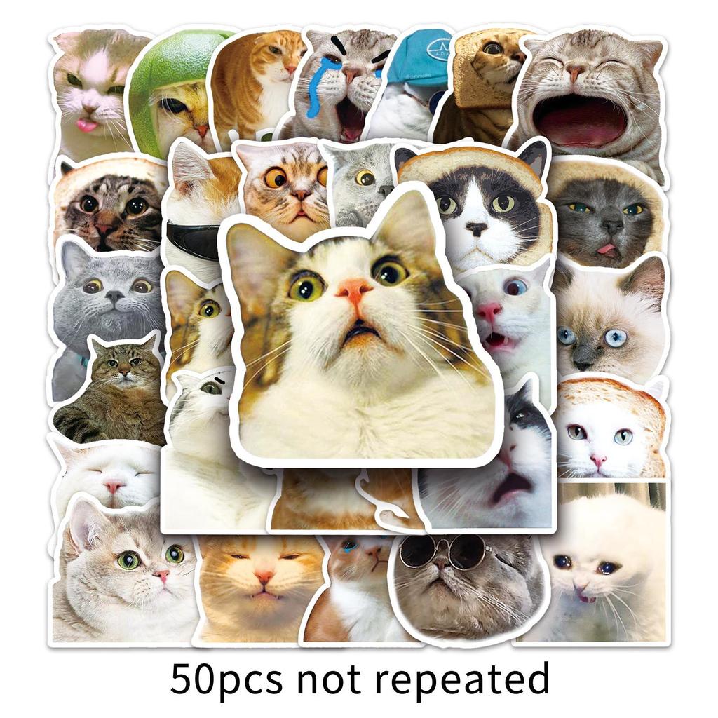 50 Internet Celebrity Cat Emoticons Packs Graffiti Personalized Hot DIY Mobile Suitcase Stickers Waterproof