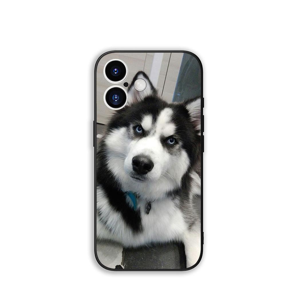 Phone Cover Animal Lovely Husky Dog Casing for Samsung Galaxy S25 S24 S22 S23 FE Ultra Plus A56 A05 A06 A15 A16 A55 S7 Edge Case