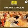 CD J. STRAUSS - WALZER & POLKAS 4455702 Deutsche Grammo 1995 Europe Classical Used