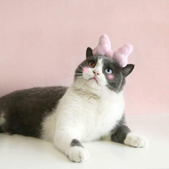 Повязка на голову для питомца, контрастного цвета, с большим бантом, в горошек, эластичная, противоскользящая, для нарядного вида