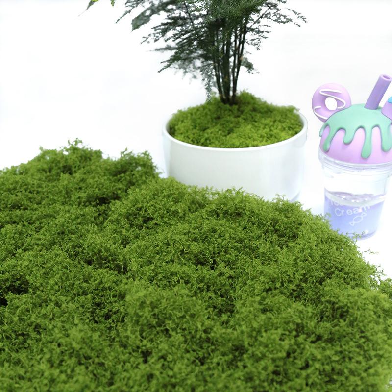 50 г искусственный мох DIY поделки трава искусственный мох искусственный консервированный мох зеленые растения для дома комната сад декор мини ландшафт искусственная трава