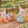 [Sylvanian] Desert Fox Picnic and Rainbow Cloud Train Set