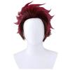 Cosplay Short Wig with Perfect for and Events Heat-resistant Wig, Net, Cosplay, Parties,