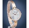 Watch Pierre Ricaud P21036.9103Q