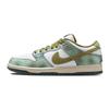 Nike Alexis Sablone x Dunk SB Low CHAMELEON Повседневные шорты-бордшорты мужские HJ3386-300