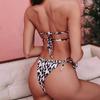 Pleated Tube Briefs Set Sexy G-string Bra Leopard Swimsuit