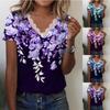 Women's Lace Short Sleeve Shirt V Neck T-Shirt Dressy Casual Tops Raglan Short Sleeve Lace Short Sleeve Panel Comfortable Cotton Top
