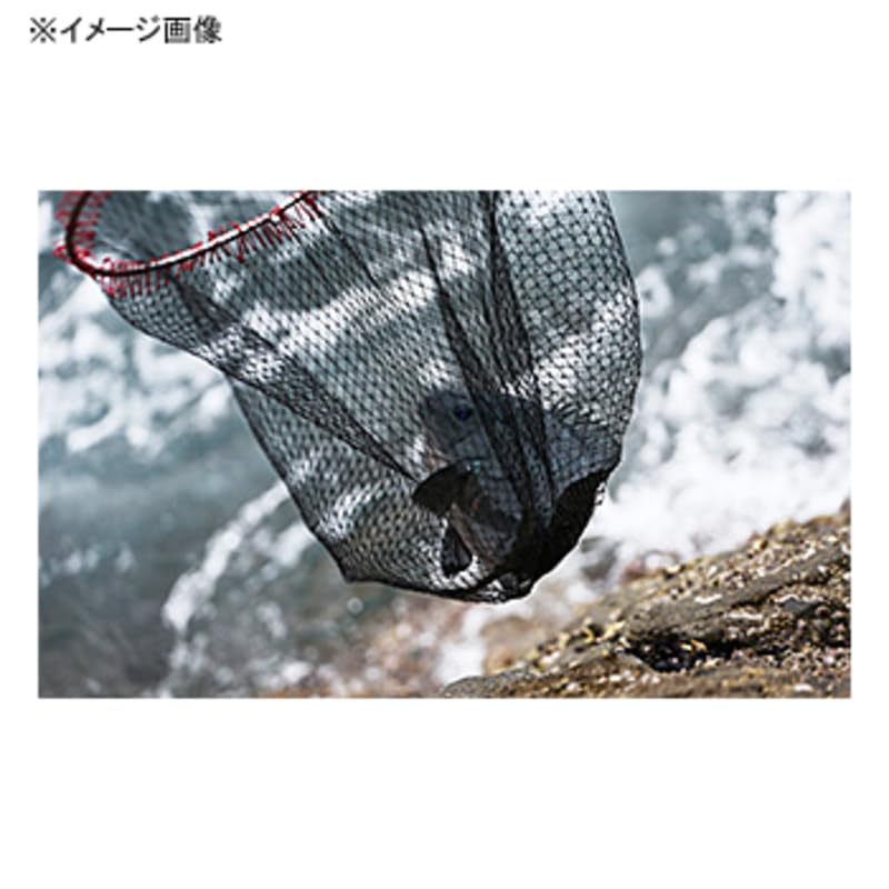Daiwa Iso-kaeri Shallow Bottom Net 50 Black