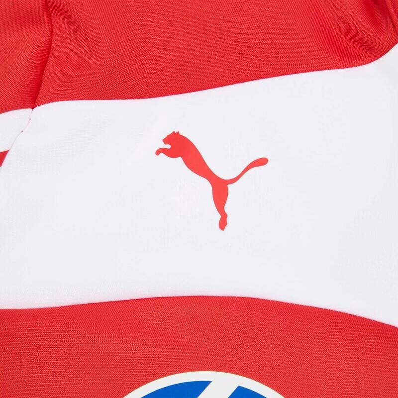 Puma Мягкаяshell куртка с флисовой подкладкой, копия команды Ferrari F1