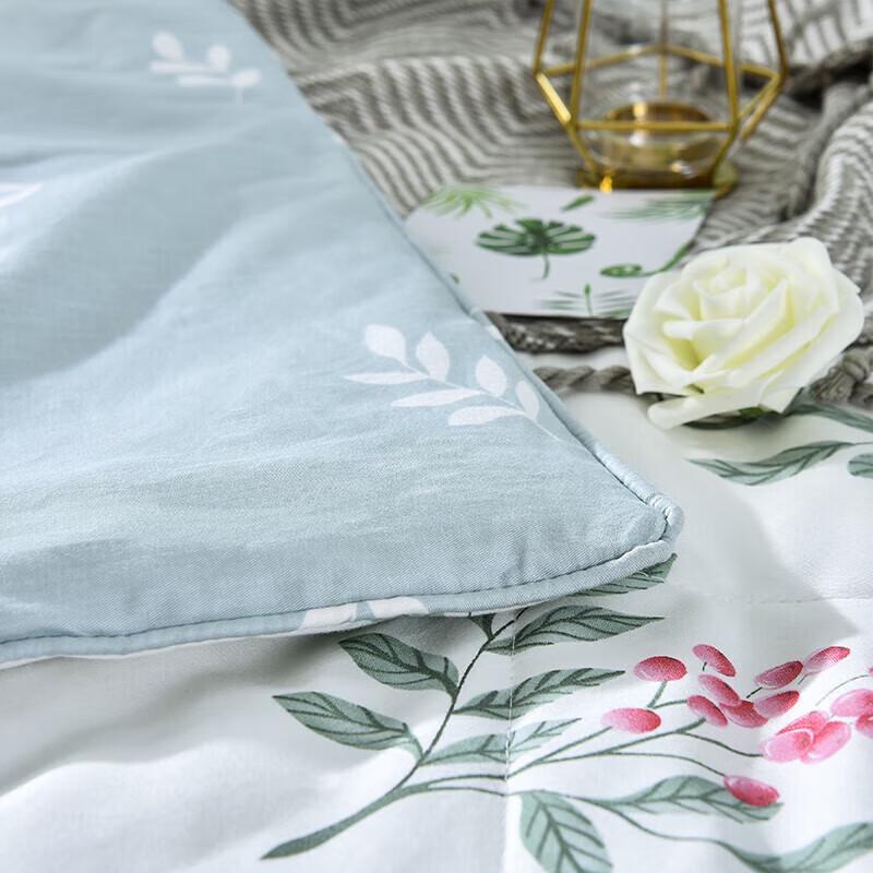 Shanshan Home Textiles Washable Antibacterial Air Conditioning Quilt