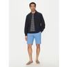 Шорты Tommy Hilfiger Harlem