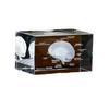 3D Crystal Carved Brain & Heart Anatomical Model Figurine