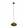 Hanging Ceiling Lamp for Living Room Dining Room Glass Shade