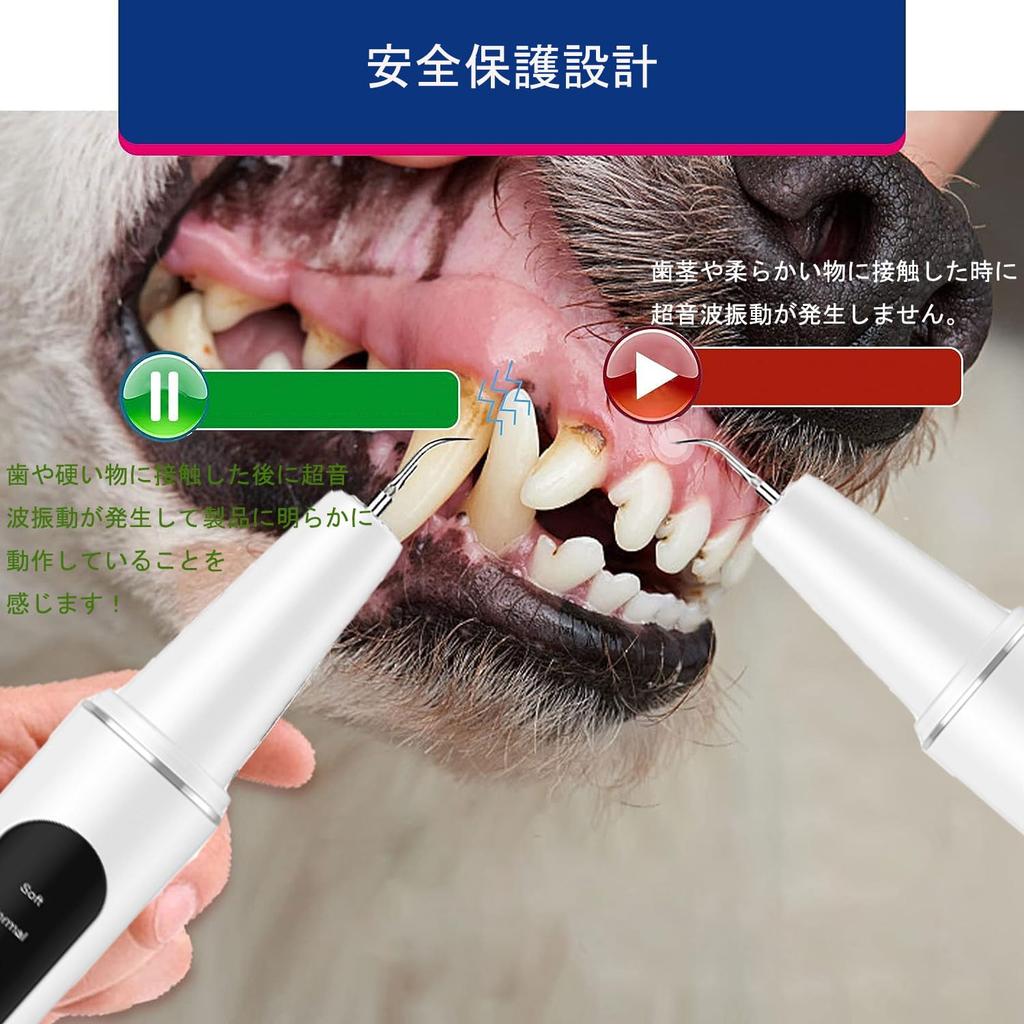 BOJNGEWIN Ultrasonic Teeth Dog USB 5 Adjustable LED Cleaning IPX6 for Cats and Dogs Cleaner, Toothbrush, Rechargeable, Modes, Built-in Lighting, Kit,