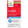 Terry Naturally CoQ10 Апельсин 100 мг Жевательные, 30 таблеток