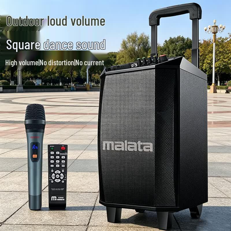 Портативная уличная колонка Malata M+9015C 8 дюймов с микрофоном (Китайская версия)