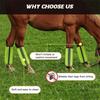 4Pcs Ventilated Fly Boots for Horses Non Slip Horse Fly Sheets  Fly Protection
